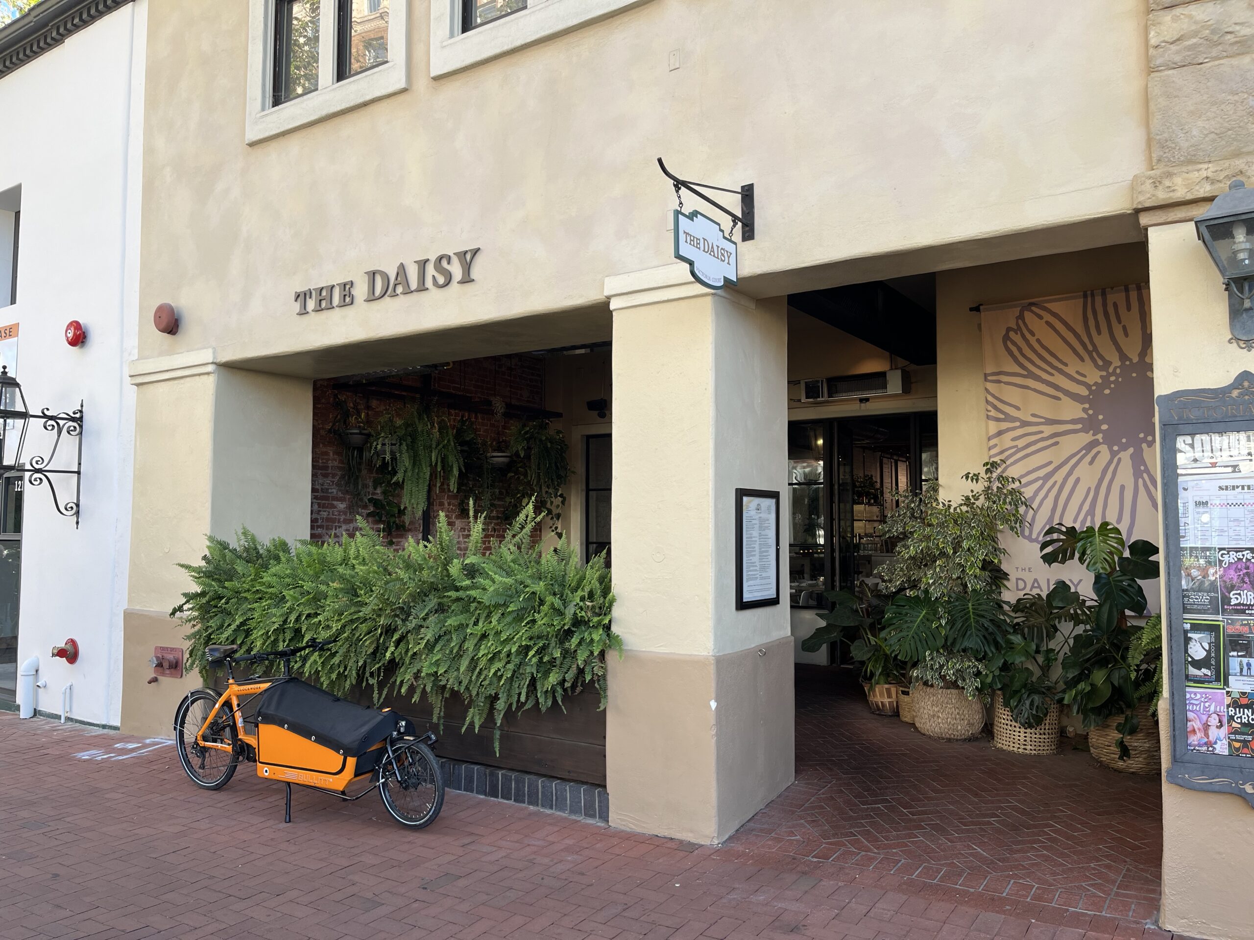 The Daisy